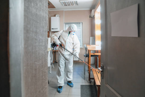 Environmental Consulting for Mold Prevention in Wauseon, OH